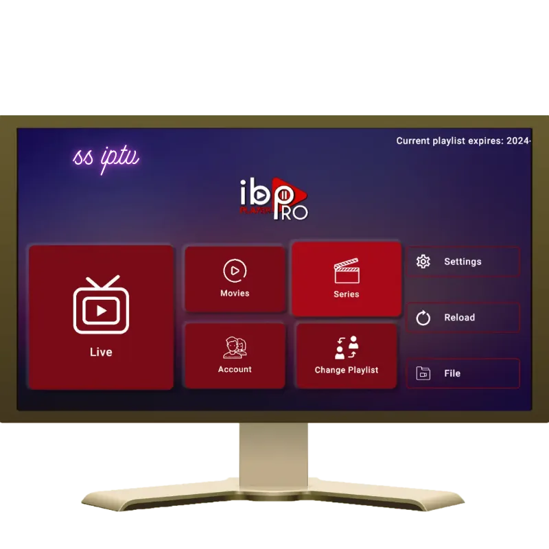Screenshot of SS IPTV settings page for uploading m3u playlists.